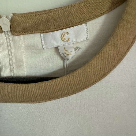 Charming Charlie’s Colorblock Cap Sleeve Dress Size L - Picture 2 of 7